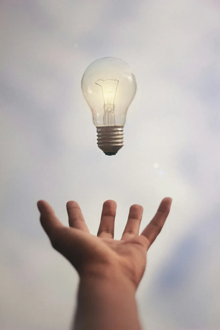 Main tenant une ampoule avec une plante à l'intérieur, symbole d'énergie verte